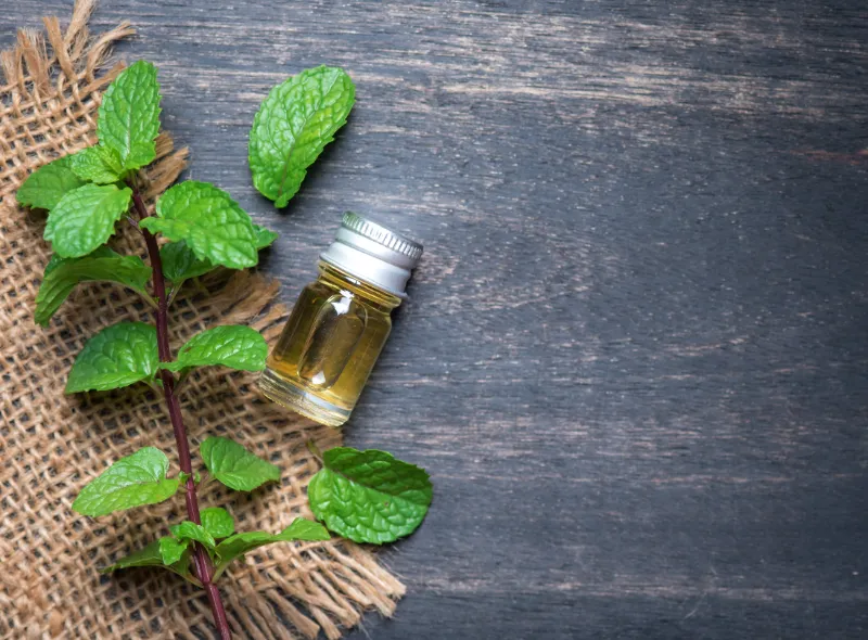 Dementholised Peppermint Oil For Flavor Industry