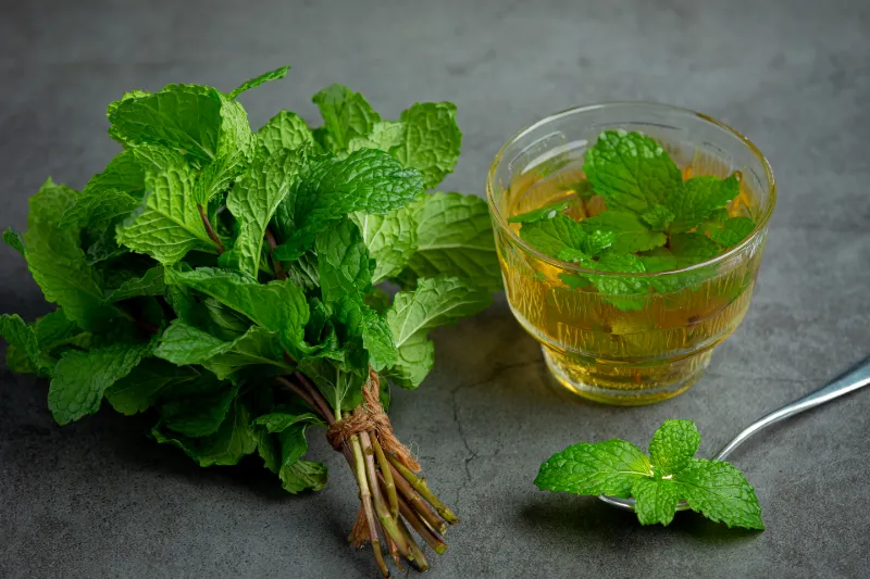 D.M. Peppermint Oil For Personal Care