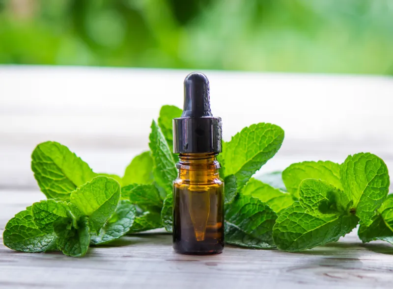D.M. Peppermint Oil Manufacturers in India