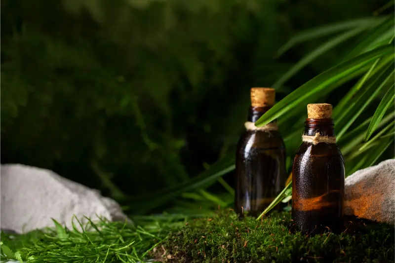 Calamus Oil  For Aromatherapy