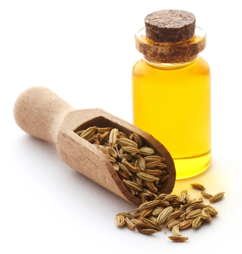 Cardamom Oil Suppliers in India