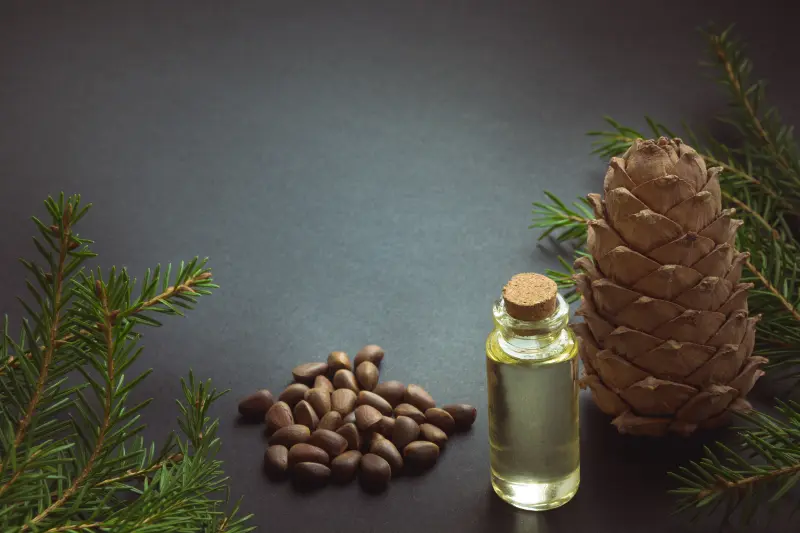Cedarwood Oil Fragrance & Perfumery Innovations