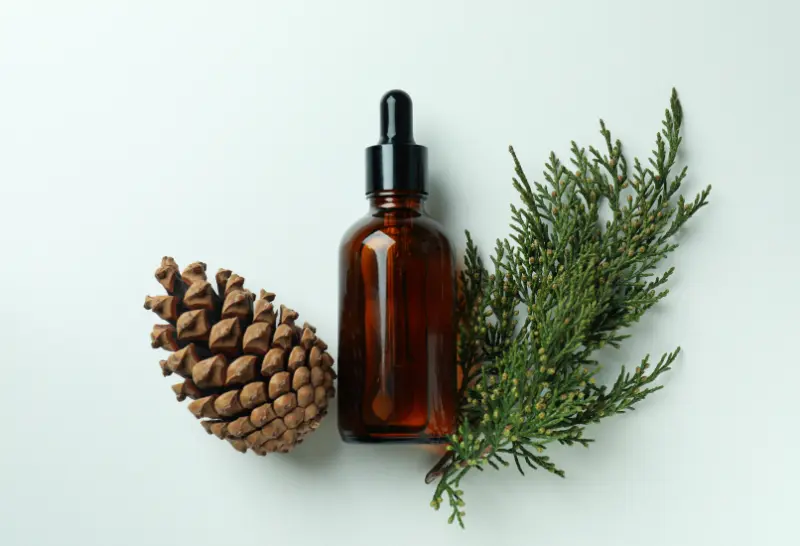 Cedarwood Oil For Skincare & Cosmetic Applications