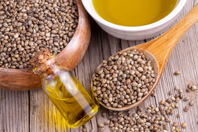 Celery Seed Oil Suppliers in India