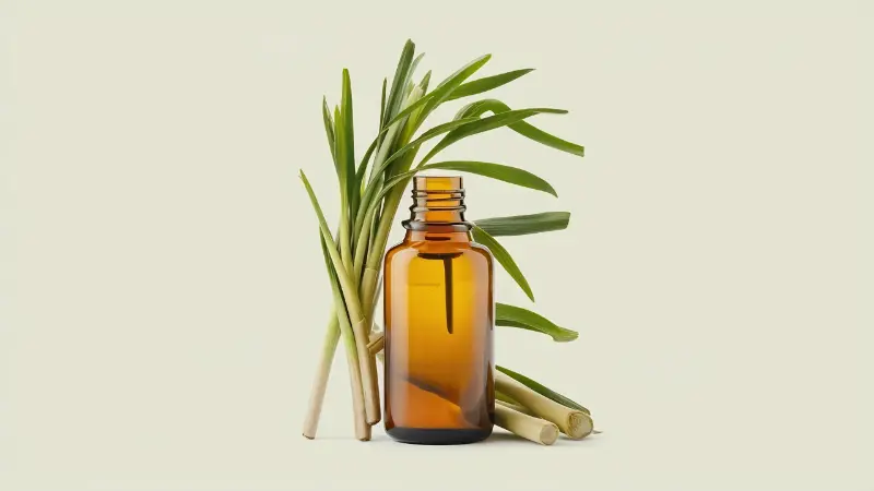 Citronella Oil Exporters in India