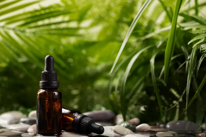 Citronella Oil For Aromatherapy