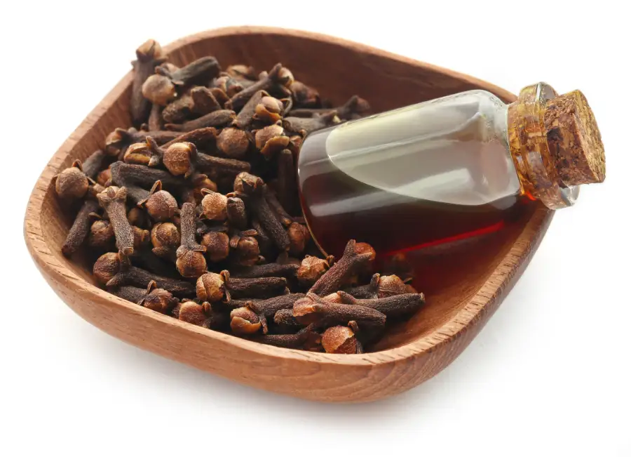 Clove Oil For Oral Care & Hygiene Products