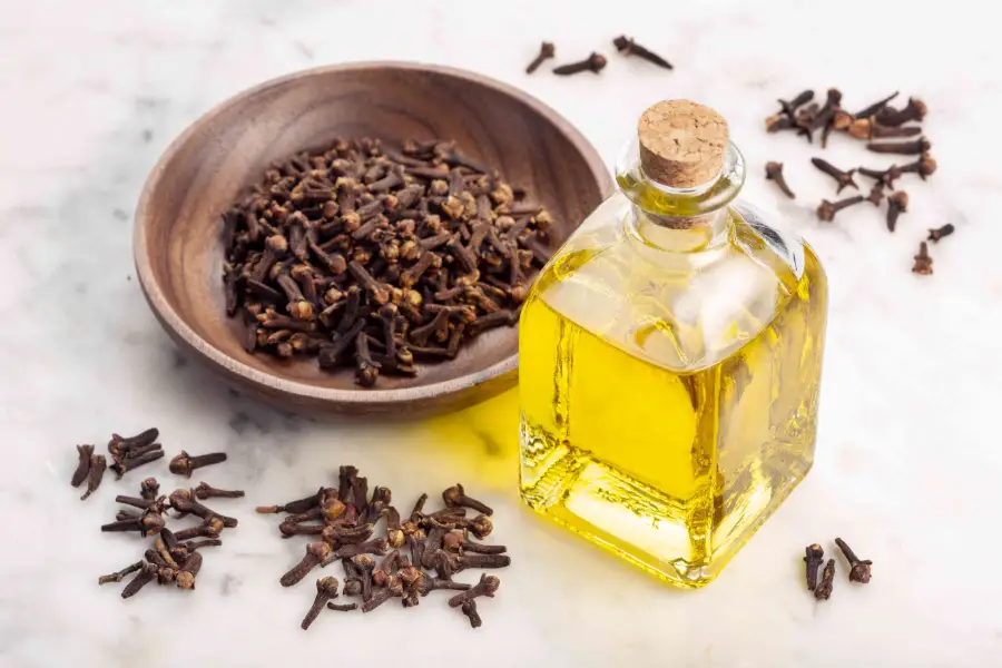 Clove Oil for Perfumery & Fragrance Blends