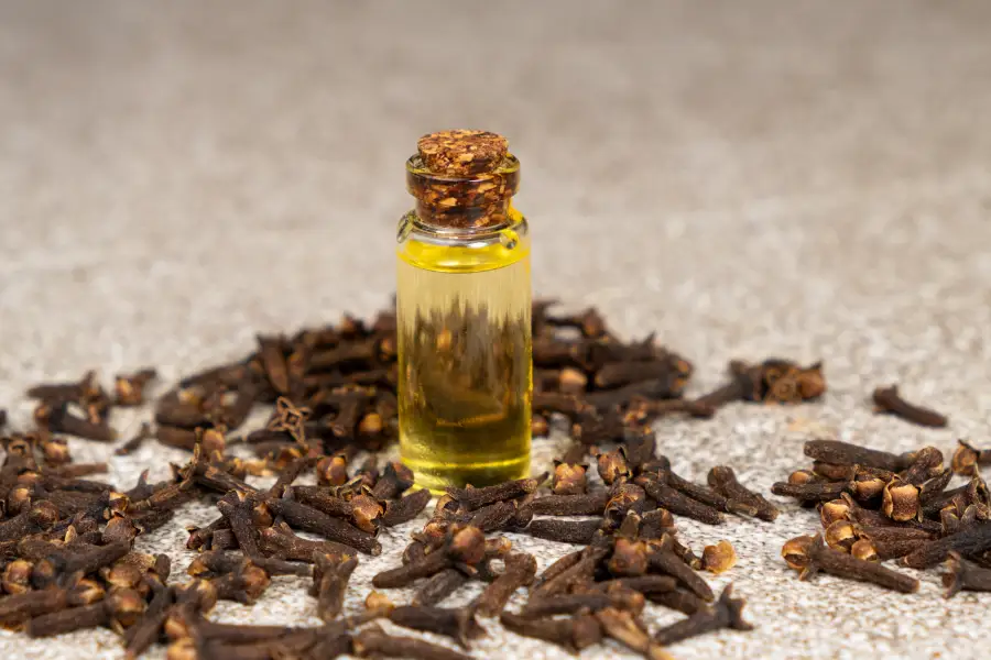 Clove Oil Therapeutic & Medicinal Applications