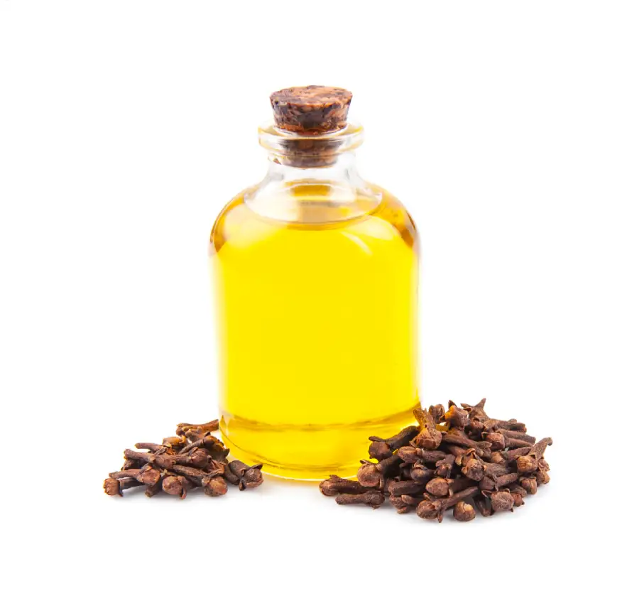 Clove Oil Manufacturers in India