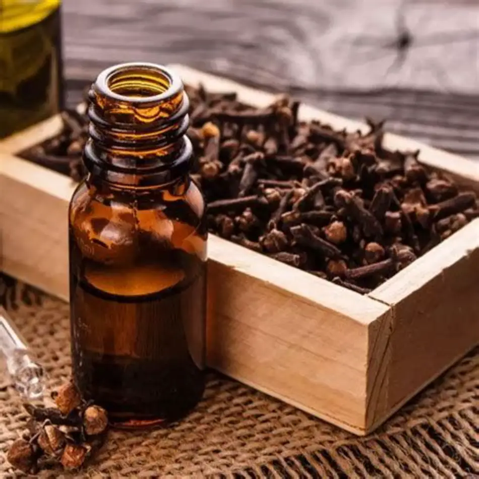 Eugenyl Acetate Suppliers in India