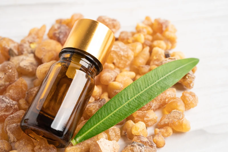 frankincense oil for For Aromatherapy
