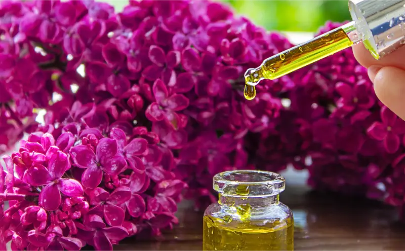 Best Geraniol Exporters in India