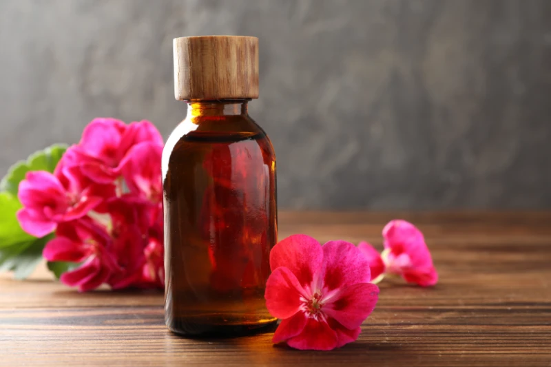 Geranium Oil For Aromatherapy & Wellness