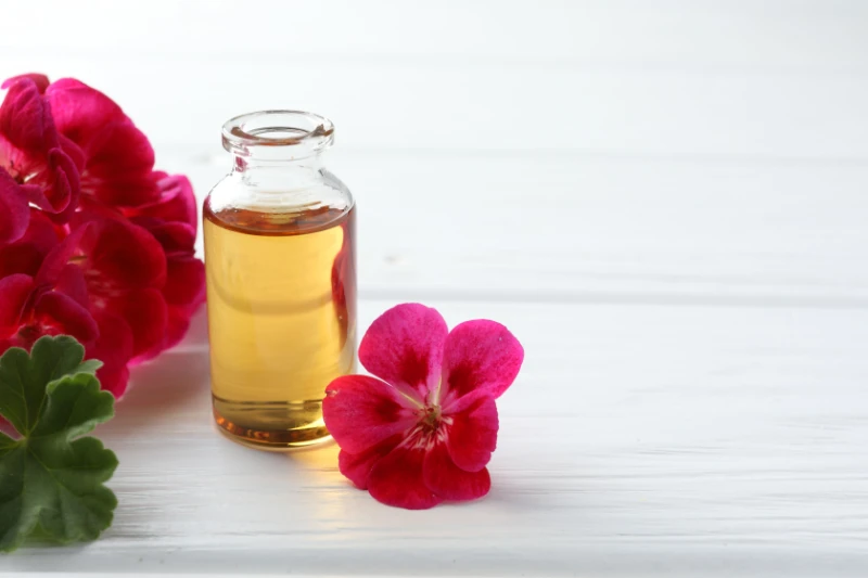 Geranium Oil For Skincare & Beauty