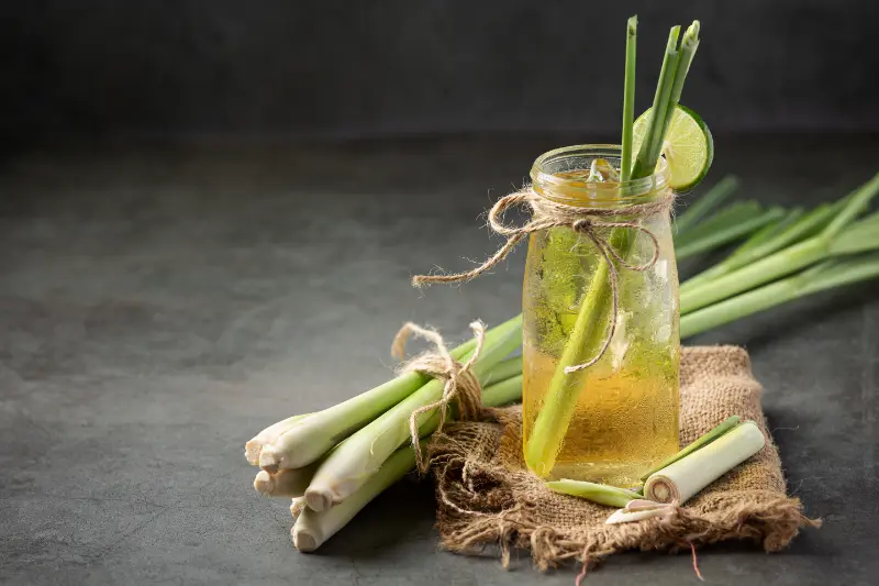 Lemongrass Oil For Aromatherapy & Wellness