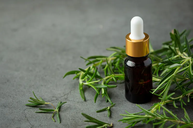 Lemongrass Oil Manufacturers in India