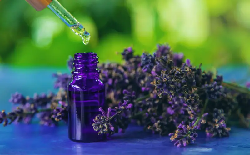 Best Linalool Exporters in India