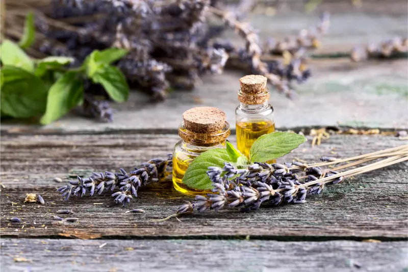 Best Linalool For Aromatherapy & Wellness