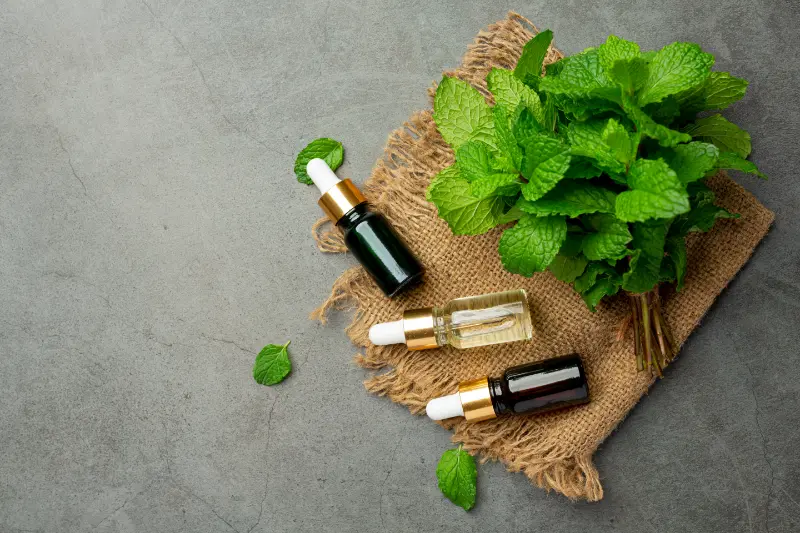 Mentha Arvensis Oil For Cosmetics & Personal Care