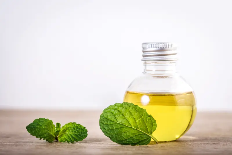 Mentha Arvensis Oil For Food & Flavor Industry