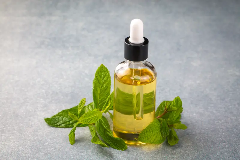 Mentha Arvensis Oil For Pharmaceutical Applications