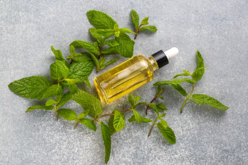 Mentha Arvensis Oil Manufacturers in India