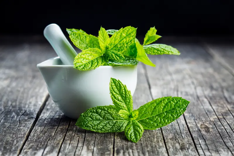 Mentha Citrata Oil For Aromatherapy