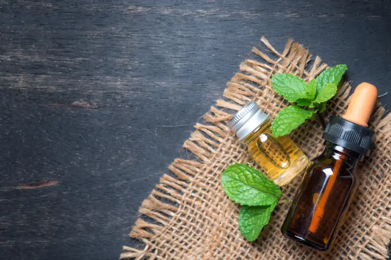 Mentha Piperita Oil For Cosmetics & Personal Care