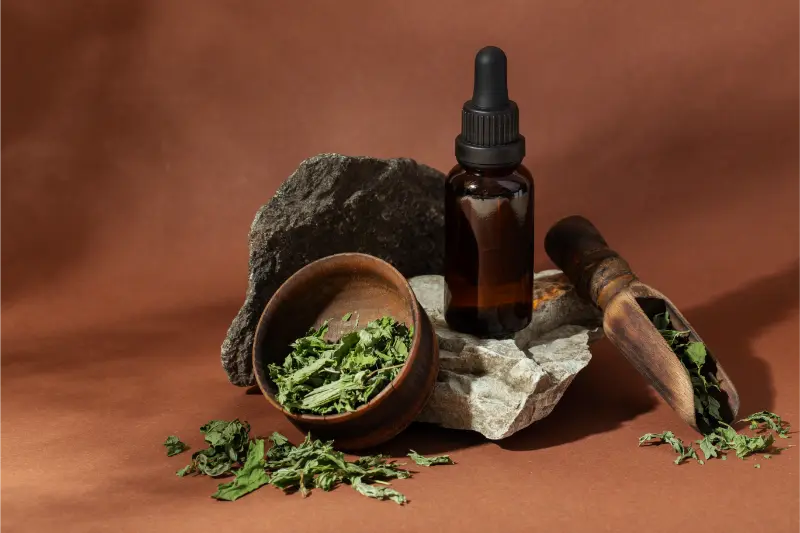 Best Menthofuran Exporters in India