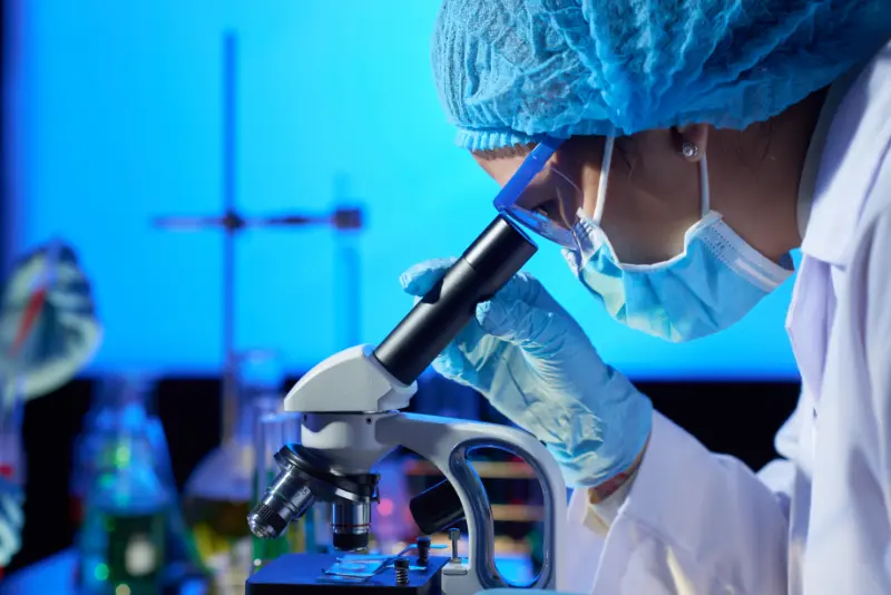 Menthofuran for Research Applications