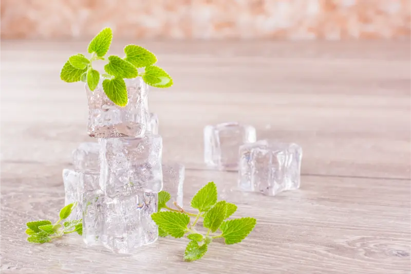 Best Menthol Crystal Exporters in India
