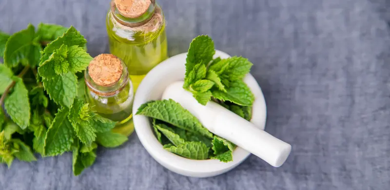 Menthol Liquid For Pharmaceuticals