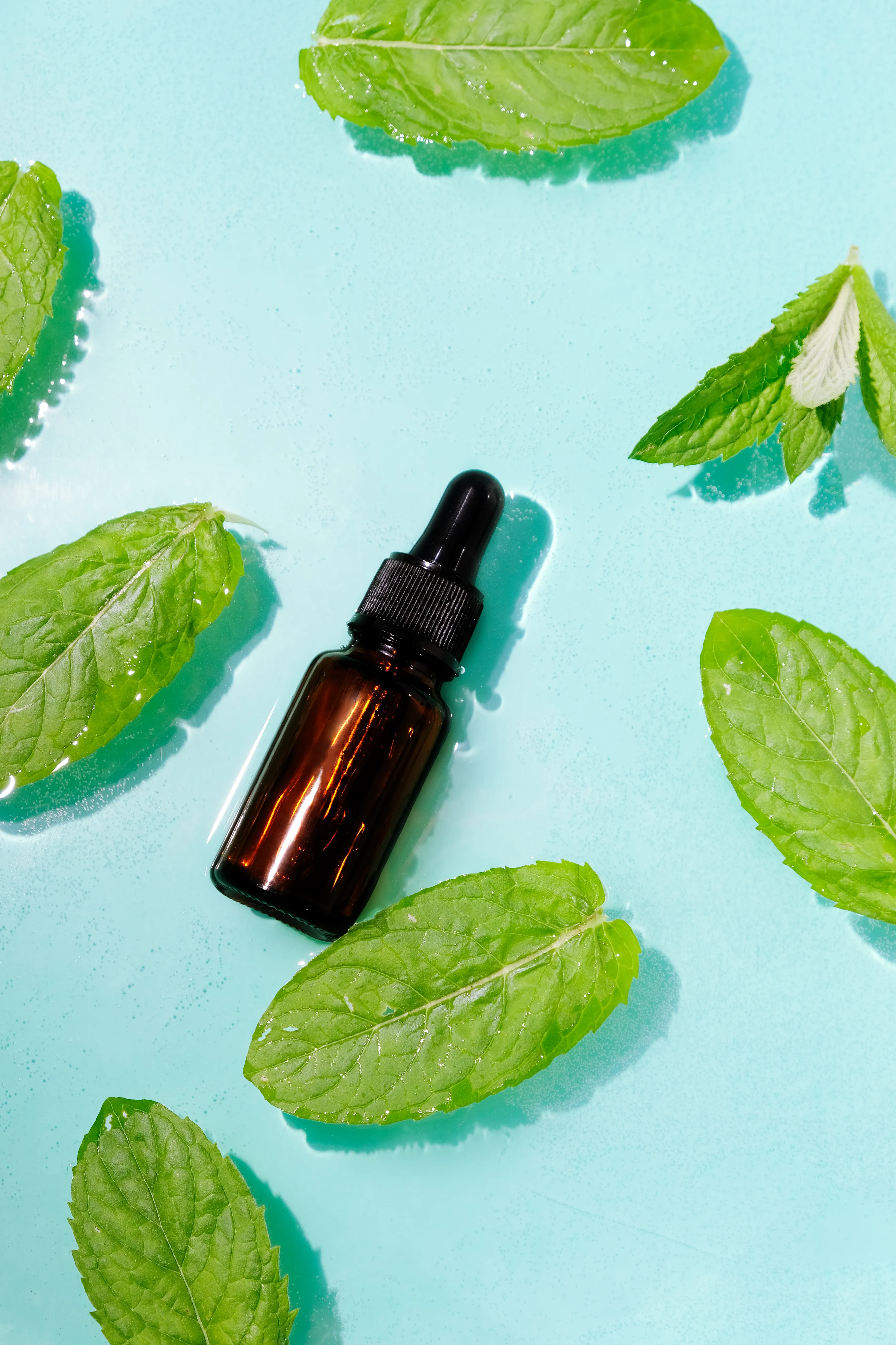 Top Menthone Suppliers in India