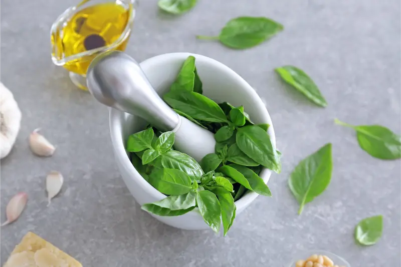 Best Methyl Chavicol Exporters in India