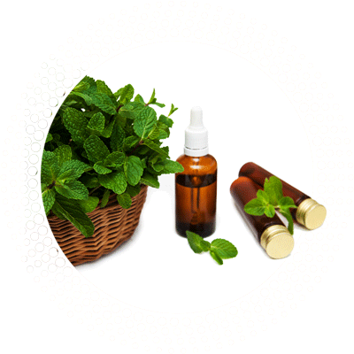 Peppermint Arvensis Oil