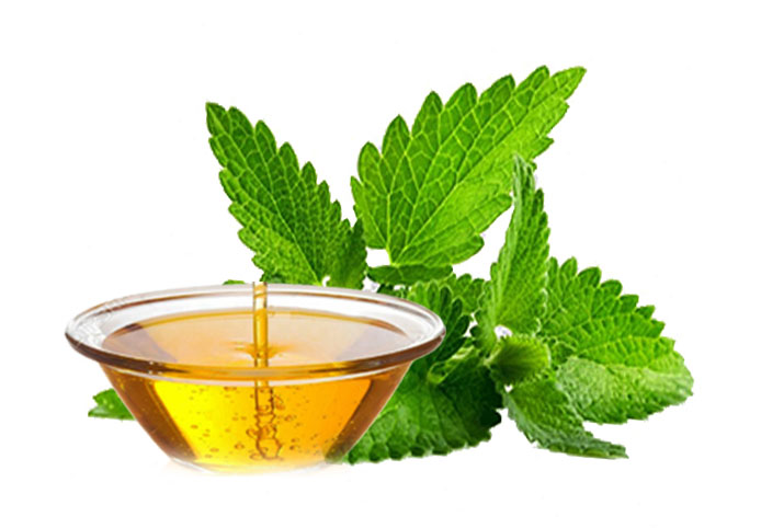 Mentha Arvensis Oil