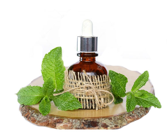 Mentha Citrata Oil