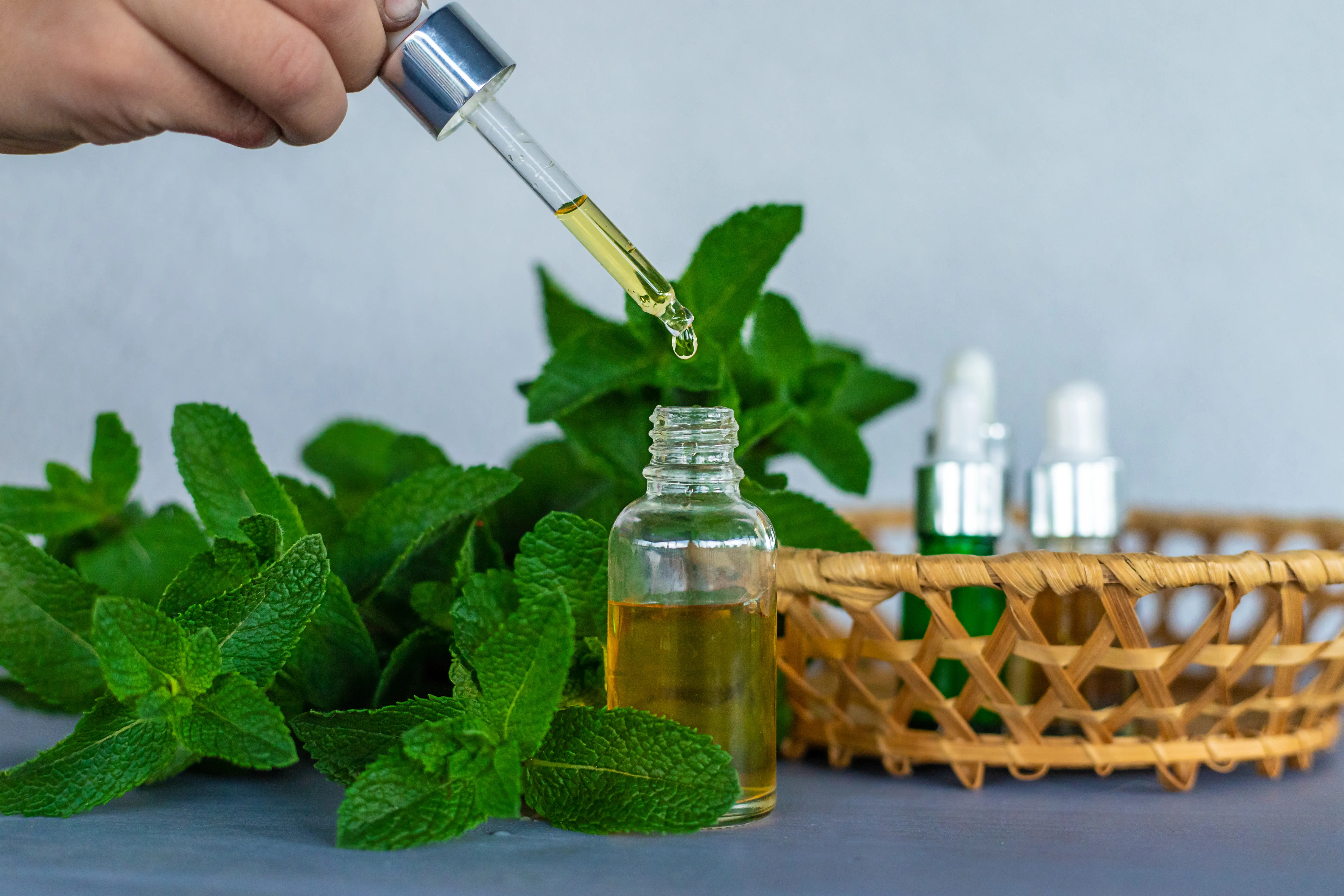 Neo Menthol for Oral Care