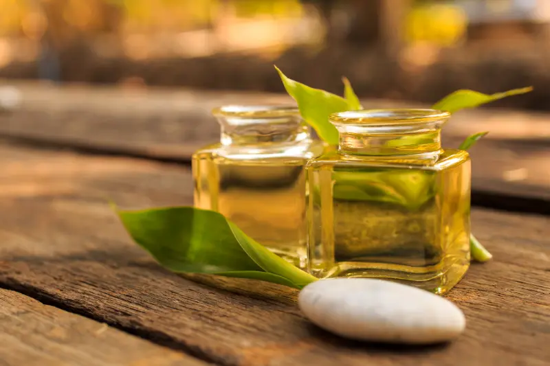Spearmint Oil Exporters in India