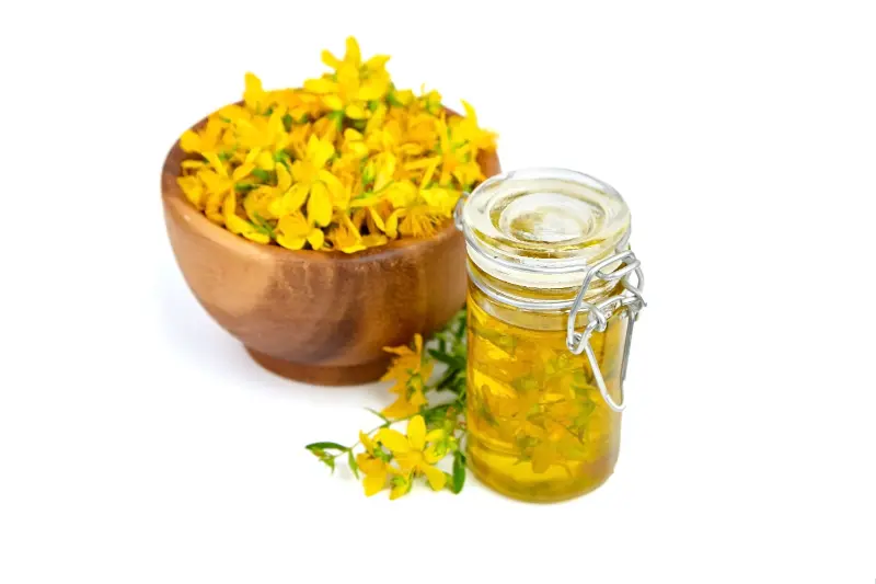 Tagetes Oil Exporters in India