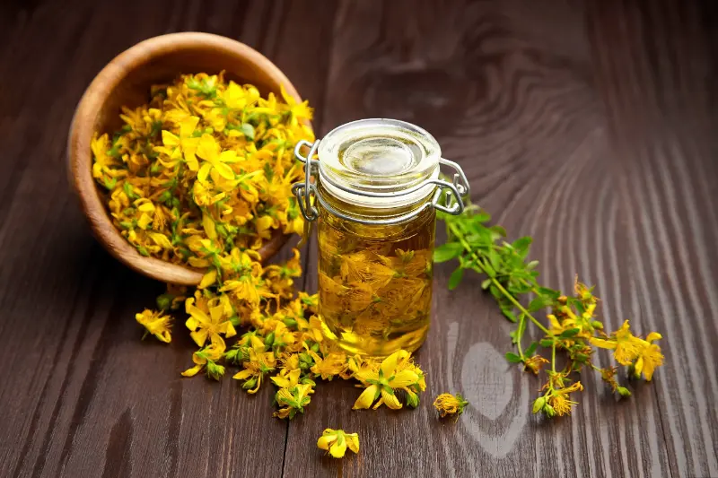 Tagetes Oil Manufacturers in India