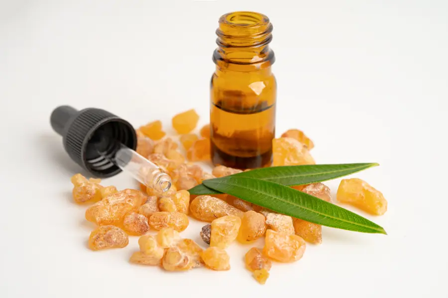 Thymol Exporters in India