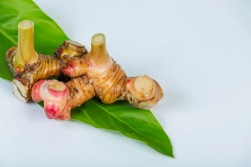 Turmeric Leaf Oil Manufacturers in India