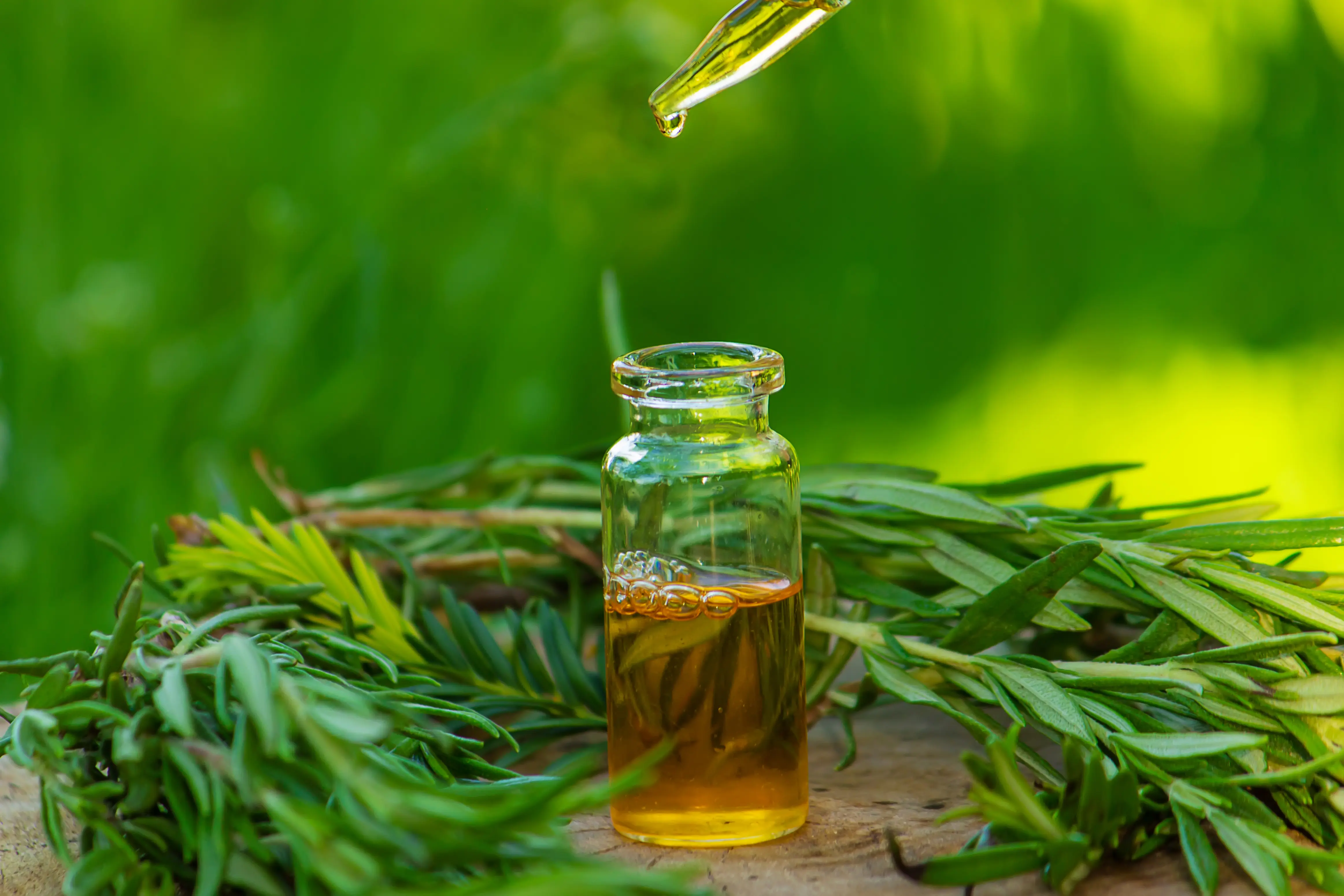 Vetiver Oil